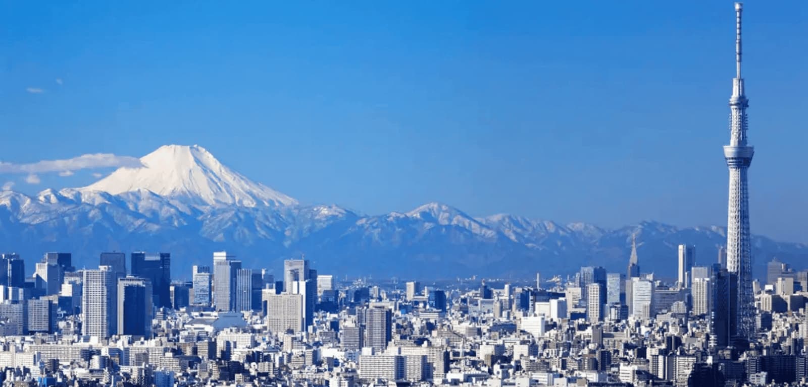 Tokyo airport transfer